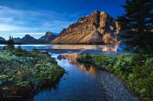 Bow Lake and Crowfoot Mountain-4048 Bow Lake and Crowfoot Mountain-4048